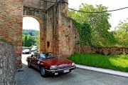 Le Jaguar nella zona del Prosecco e Cartize (139/152)